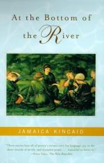 Critical Essay by Edward J. Ahearn by Jamaica Kincaid
