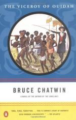 Critical Essay by Brian Martin by Bruce Chatwin