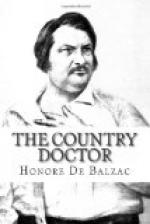 Critical Essay by Rochelle Tobias by Honoré de Balzac