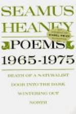 Critical Essay by Arthur E. Mcguinness by Seamus Heaney