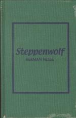 Critical Essay by Seymour L. Flaxman by Hermann Hesse