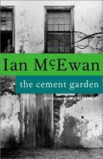 Critical Essay by Tom Paulin by Ian McEwan