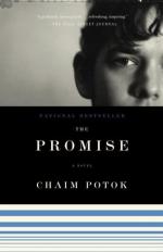 Critical Essay by Julian Barnes by Chaim Potok