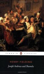 Critical Essay by Theo Olivier by Henry Fielding