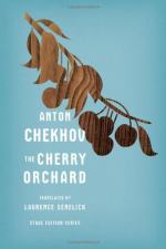 Critical Essay by Virginia Woolf by Anton Chekhov