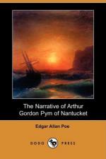 Critical Essay by Stephen Mainville by Edgar Allan Poe