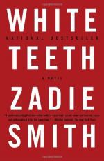 Interview by Zadie Smith and Bob Graham by Zadie Smith