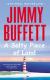 A Salty Piece of Land Study Guide and Lesson Plans by Jimmy Buffett