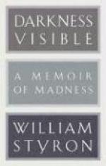 Darkness Visible by William Styron