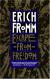 Escape from Freedom Study Guide and Lesson Plans by Erich Fromm