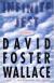 Infinite Jest: A Novel Study Guide, Literature Criticism, and Lesson Plans by David Foster Wallace