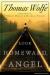 Look Homeward, Angel Study Guide and Lesson Plans by Thomas Wolfe