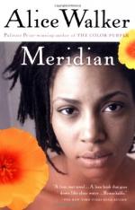 Meridian by Alice Walker