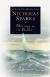 Message in a Bottle Study Guide and Lesson Plans by Nicholas Sparks (author)