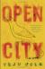 Open City Study Guide and Lesson Plans by Teju Cole