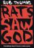 Rats Saw God Study Guide and Lesson Plans by Rob Thomas