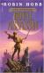 Royal Assassin Study Guide and Lesson Plans by Robin Hobb