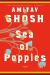 Sea of Poppies Study Guide and Lesson Plans by Amitav Ghosh