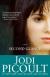 Second Glance: A Novel Study Guide and Lesson Plans by Jodi Picoult
