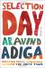 Selection Day: A Novel Study Guide and Lesson Plans by Aravind Adiga