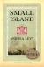 Small Island Study Guide and Lesson Plans by Andrea Levy