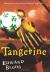 Tangerine Study Guide and Lesson Plans by Edward Bloor