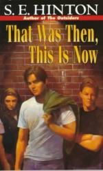That Was Then, This Is Now by S. E. Hinton