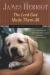 The Lord God Made Them All Study Guide and Lesson Plans by James Herriot
