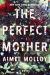 The Perfect Mother Study Guide and Lesson Plans by Aimee Molloy