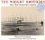 The Wright Brothers: How They Invented the Airplane Study Guide and Lesson Plans by Russell Freedman