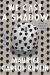 We Cast a Shadow Study Guide and Lesson Plans by Maurice Carlos Ruffin