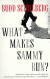 What Makes Sammy Run? Study Guide, Lesson Plans, and Short Guide by Budd Schulberg
