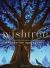 Wishtree Study Guide and Lesson Plans by Applegate, Katherine