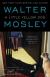A Little Yellow Dog Short Guide by Walter Mosley