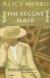 The Beggar Maid: Stories of Flo and Rose Literature Criticism and Short Guide by Alice Munro