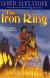 The Iron Ring Short Guide by Lloyd Alexander