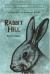 Rabbit Hill Short Guide by Robert Lawson
